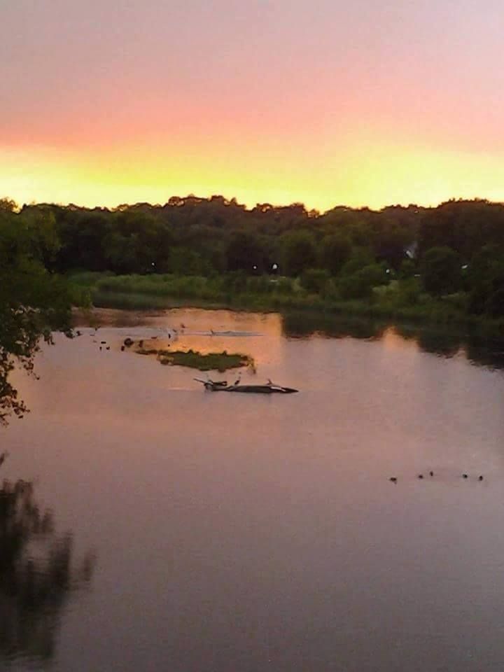 Root River